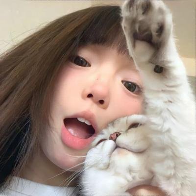 布偶也摇滚第二季 在线观看封面